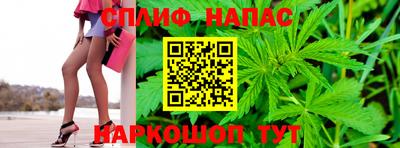 ECSTASY Кингисепп