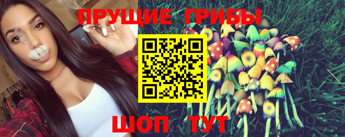 Псилоцибиновые грибы MAGIC MUSHROOMS Кудрово