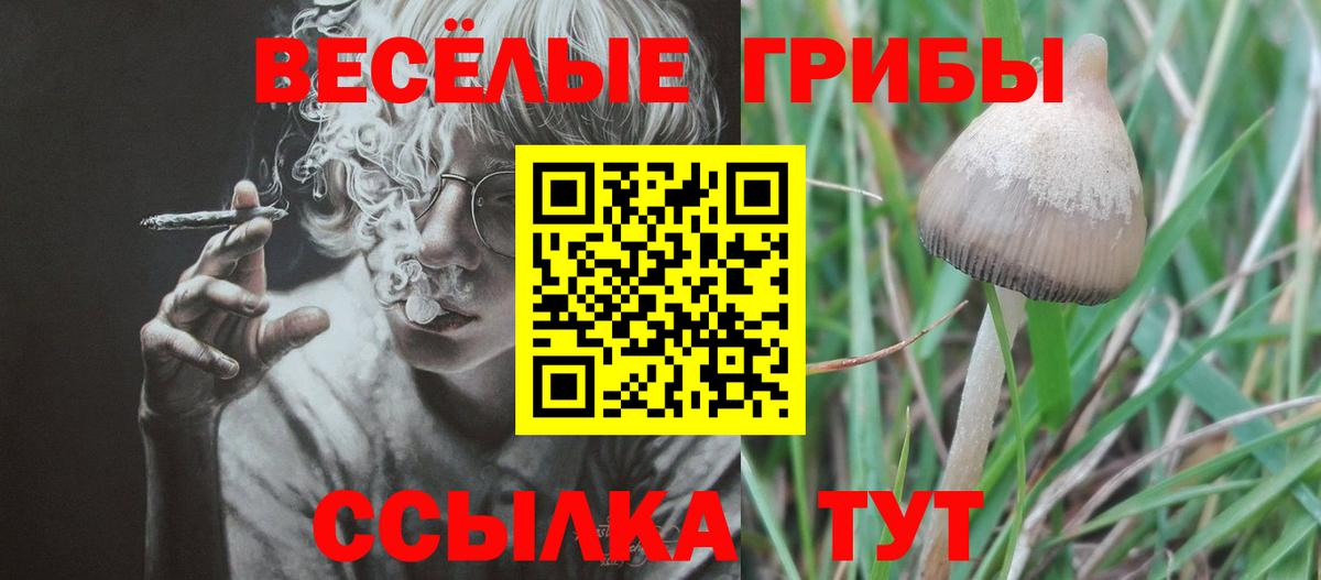Галлюциногенные грибы MAGIC MUSHROOMS  Вход с VPN  Кудрово 